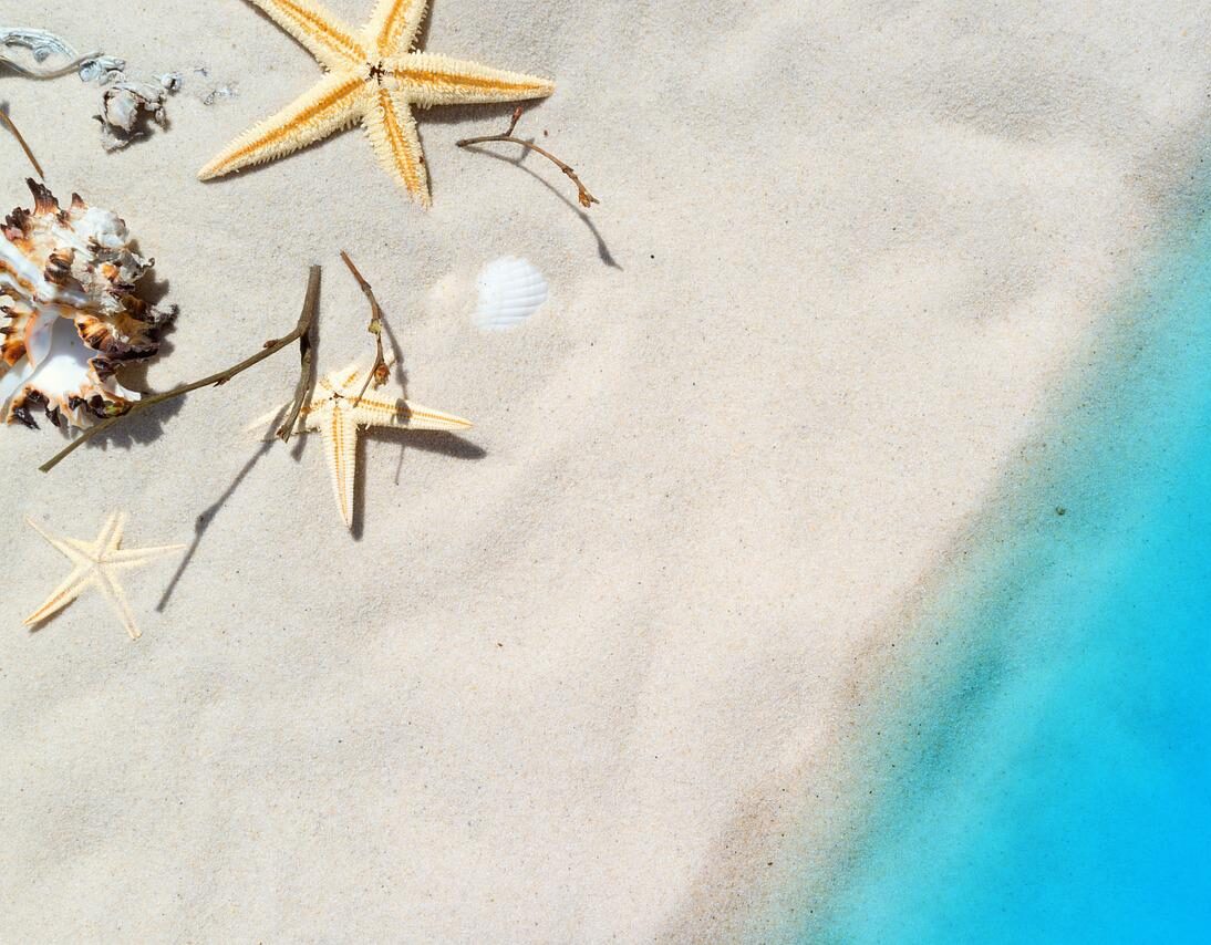 beach, sea, starfish-1449008.jpg